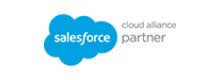 Salesforce cloud partner